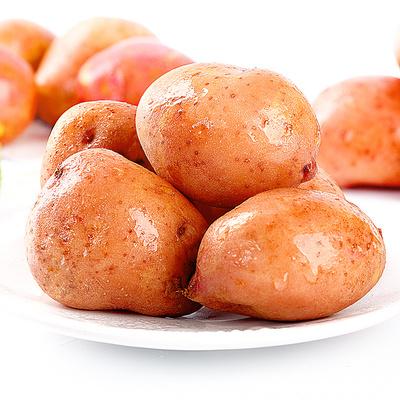 云南小土豆新鲜10斤马铃薯农产品蔬菜洋芋批发迷你小黄心红皮土豆