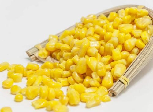 批发速冻甜玉米厂家金田果菜和大家聊聊新鲜玉米正常情况下能保存多久